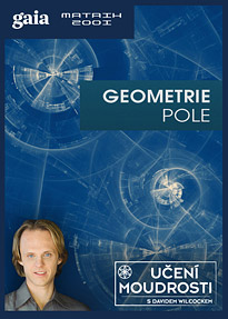 Geometrie pole