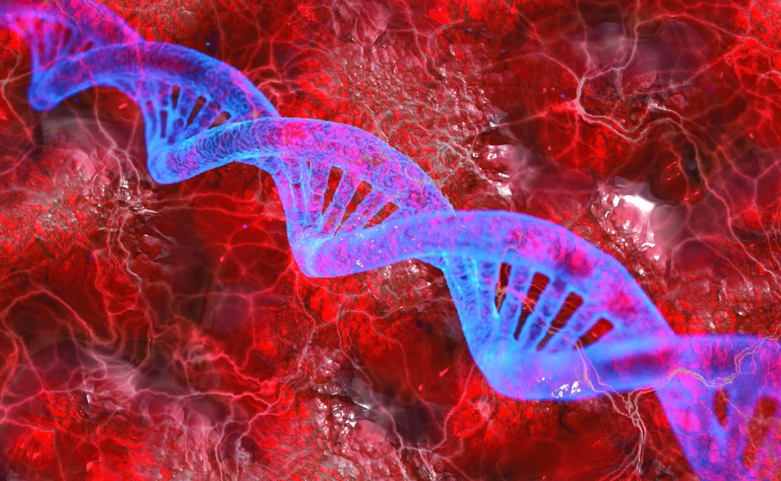 При расшифровке генома лосося было установлено 30. Клетка ДНК. ДНК крови. ДНК раковой клетки. Гены человека.